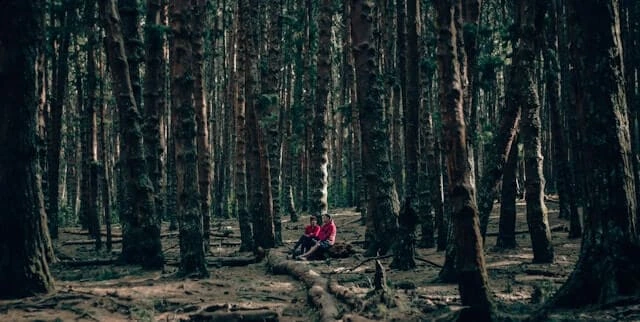 Kodaikanal Forest Tour